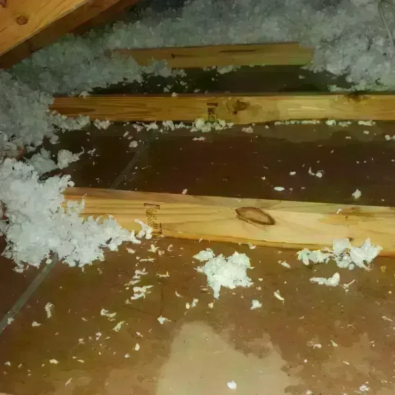 Attic Water Damage in Sevier County, TN